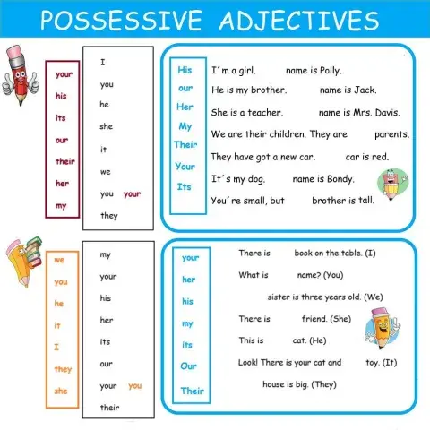POSSESSIVE ADJECTIVES