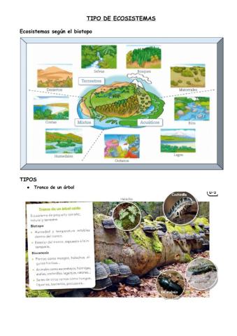 Tipos de ecosistemas