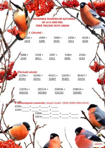 Adunarea numerelor naturale 0-1.000.000, fără trecere peste ordin (Fișă de lucru)