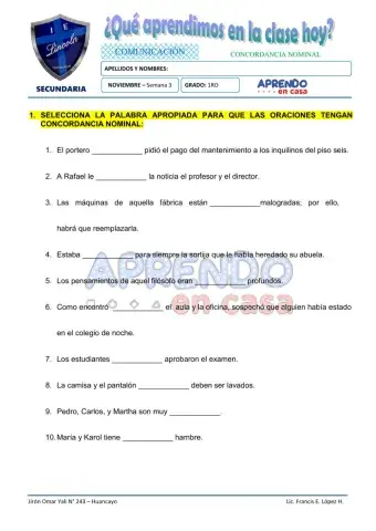 Prac. Concordancia Nominal