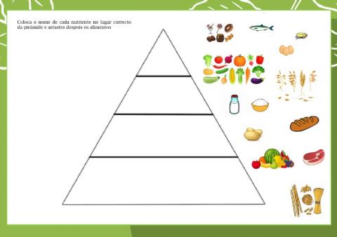 Pirámide alimenticia