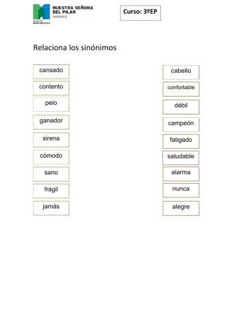 Sinónimos 3EP
