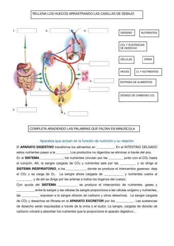 Aparatos para la nutrición
