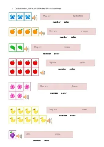 Colors of the rainbow-C-