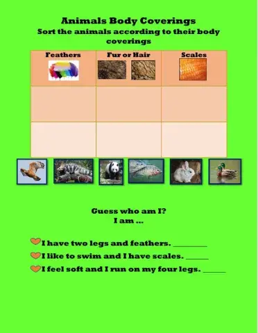 Animal body coverings