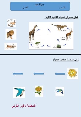 السلاسل و الشبكات الغذائية