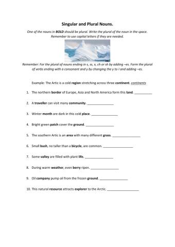 Singular and Plural Nouns