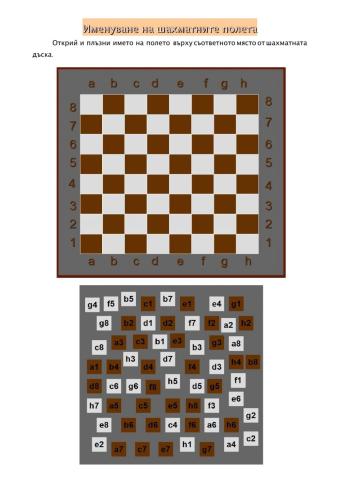 Именуване на шахматните полета