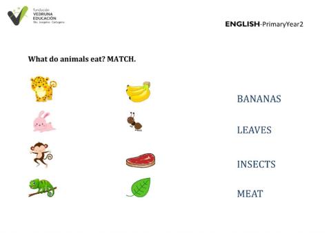 What do animals eat? Y2E