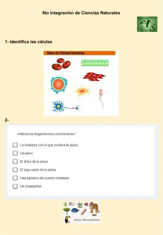 Integración 2020 CS NATURALES