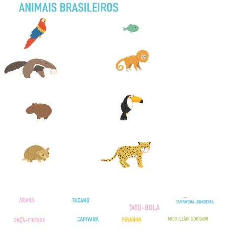 Animais Brasileiros