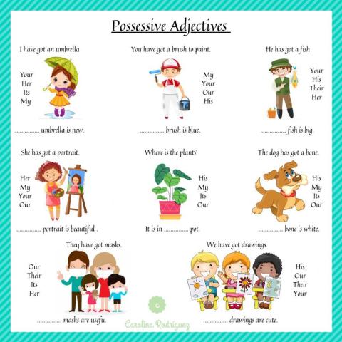 Possessive Adjectives