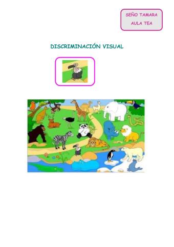 Discriminación visual