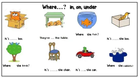 Preposition (in-on-under) with questions form