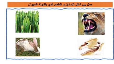 اسنان الحيوانات