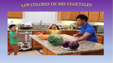 Clasificación de vegetales