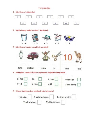 Tudáspróba anyanyelv