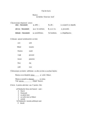 Bunica de St.O.Iosif