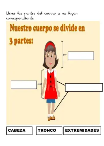 Las partes del cuerpo