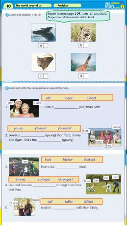 English Year 3 GetSmart Plus Module 10 Workbook page 81
