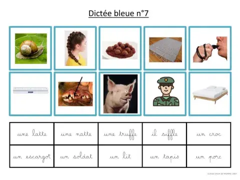 Dictée bleue 7