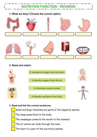 Nutrition function revision