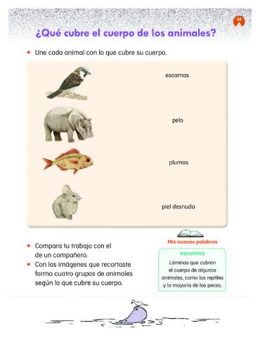 ¿Qué cubre el cuerpo de los animales?