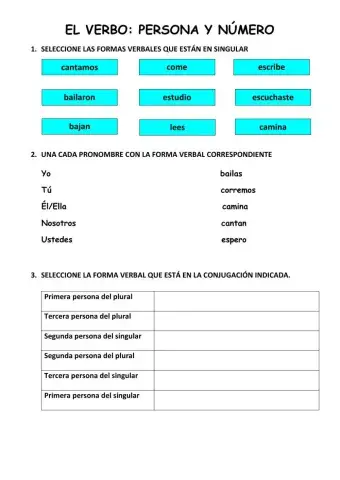 Verbo: persona y número