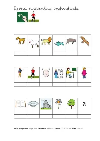 Escriure substantius individuals i col·lectius. (amb so)