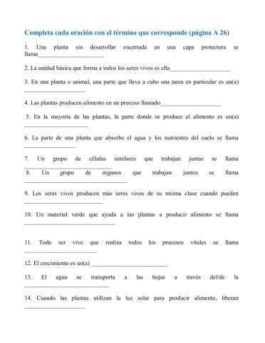 Procesos  vitales y ciclos de vida