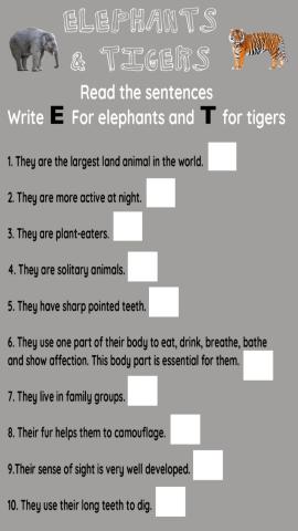 Tigers vs elephants