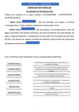 Nutrición de los seres vivos