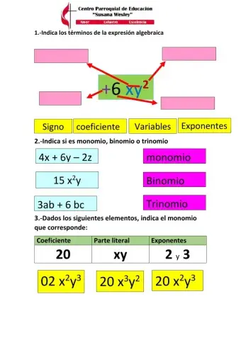 Termnino Algebraico