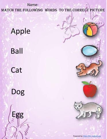 Match the following words to the correct picture
