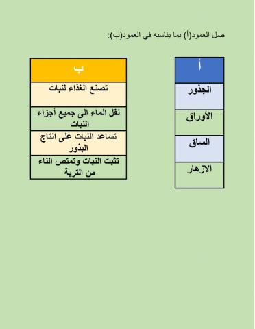 وظائف اجزاء النبات