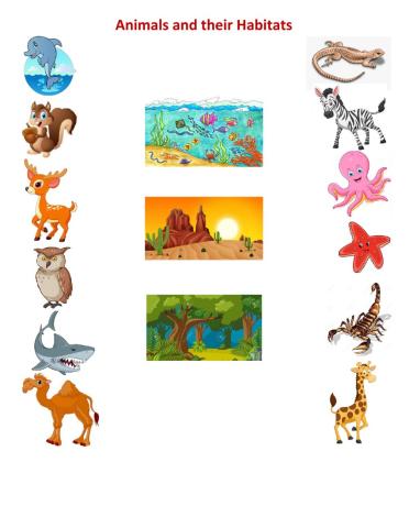 Animals and their Habitats