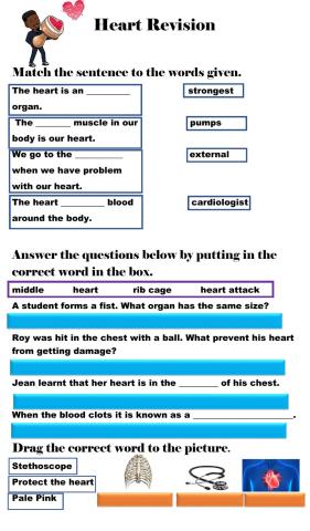Heart Revision