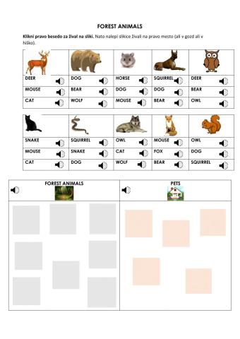 Forest animals