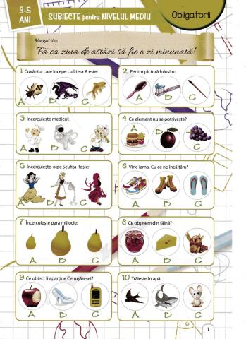 Fisa concurs discovery