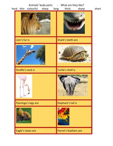 Animals' body parts adjectives