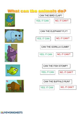 What can the animals do?