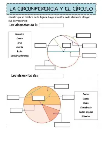Círculo y Circunferencia
