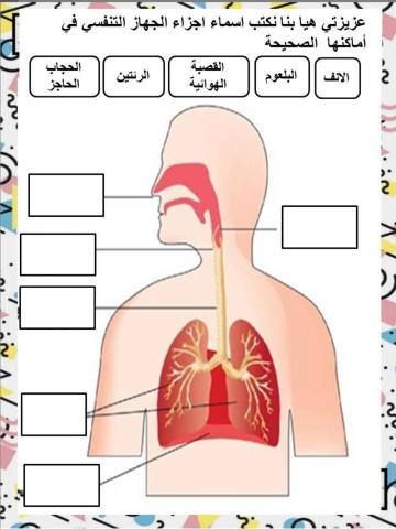الجهاز التنفسي