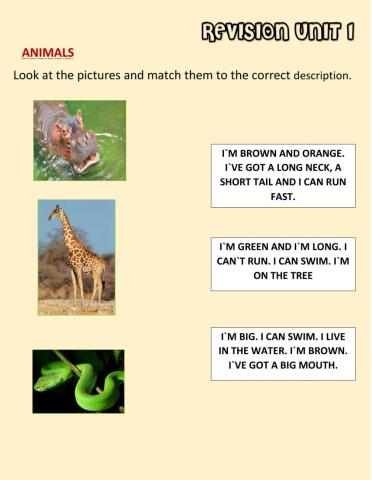 Animal descriptions
