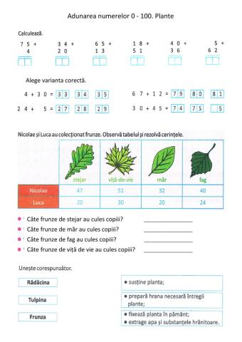 Recapitulare adunări 100