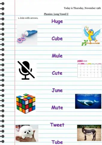 Phonics - Long Vowel U