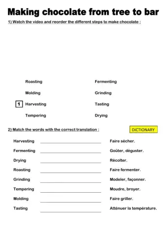 How to make chocolate from tree to bar