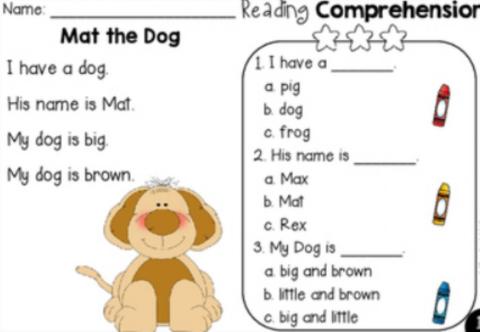 Kindergraten comprehension