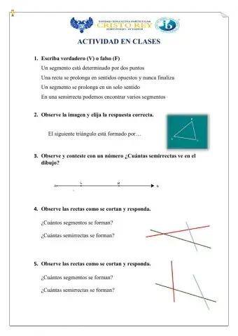 Líneas rectas, semirrectas y segmentos