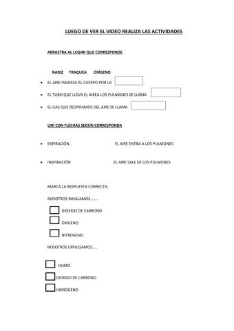 Sistema respiratorio